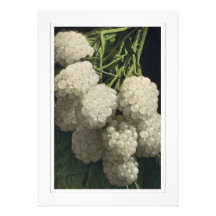 White Blackberries Custom Invitations