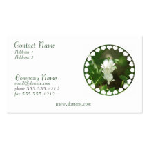 White Bleeding Heart Business Card