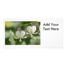 White Bleeding Hearts Flowers Personalized Photo Card
