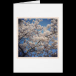 White Blossom cartes