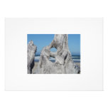 White Border Blue Sky Ocean Waves Driftwood photography