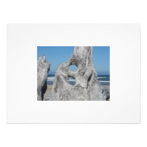 White Border Blue Sky Ocean Waves Driftwood
