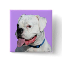 White Boxer button