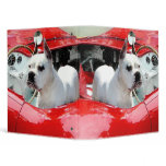 White Boxer Dog in red sportscar binder
