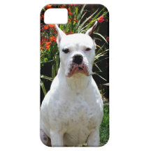 White boxer dog iPhone 5 case
