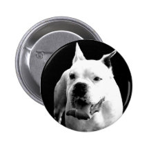 White boxer pin