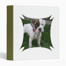 White Boxer Puppy Binder