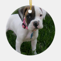 White Boxer Puppy Ornament