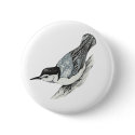White Breasted Nuthatch Button