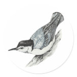 White Breasted Nuthatch Sticker