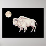White Buffalo Full Moon Print
