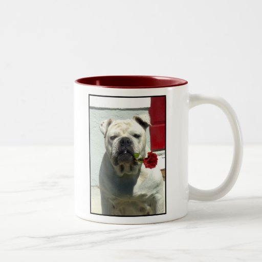 White bulldog with rose mug
