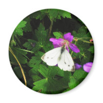 White Butterfly on Purple Flowers Refrigerator Magnet