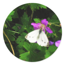 White Butterfly on Purple Flowers Round Sticker