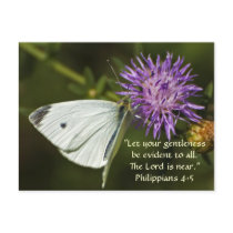 White Butterfly on Purple Wildflower Postcard