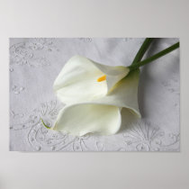 white calla lilies on linen poster