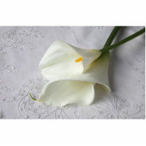 white calla lilies photo sculpture small