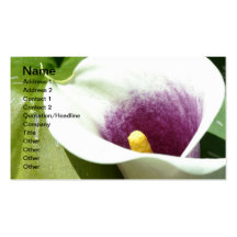 White Calla Lily Business Card