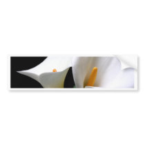 White Calla Lily Flower Bumper Sticker