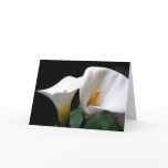 White Calla Lily Flower Greeting Card