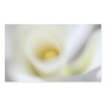 White Calla Lily, macro photography, template stickers