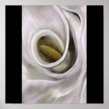 white calla poster