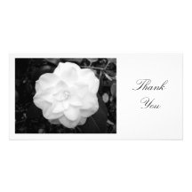 White Camelia - Thank You Personalized Photo Card