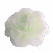 white camellia flower photo sculpture