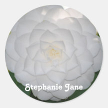 White Camellia Stickers