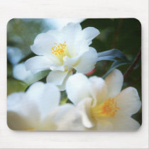 White Camellias Mousepads