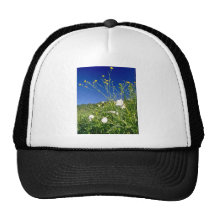white Canada anemone and buttercups, Quebec, Canad Trucker Hat