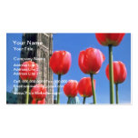 White Canadian Tulip Festival, Peace Tower with tu Business Card