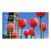 White Canadian Tulip Festival, Peace Tower with tu Business Card