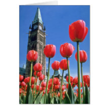 White Canadian Tulip Festival, Peace Tower with tu Card