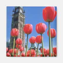 White Canadian Tulip Festival, Peace Tower with tu Fridge Magnets