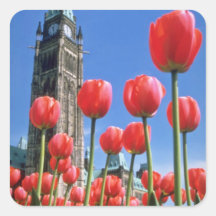 White Canadian Tulip Festival, Peace Tower with tu Sticker