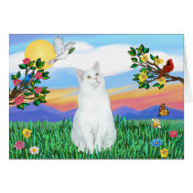 White Cat - Bright Life Card