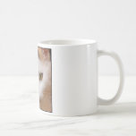 White cat coffee mugs