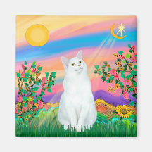 White Cat - Day Star Refrigerator Magnets