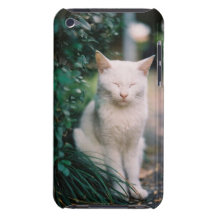 White Cat iPod Touch Cover
