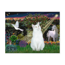 White Cat - Magical Woods Post Cards