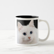 White Cat Mug