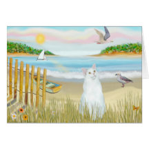White Cat - The Rowboat Cards