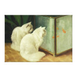 White Cats Watching Goldfish Stretched Canvas Print