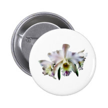 White Cattleya Orchids Pin