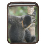 White Cheeked Capuchin iPad Sleeve