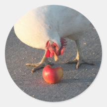 White Chicken and Apple Round Stickers
