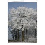 White Christmas Greeting Card