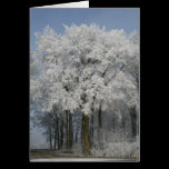 White Christmas cards