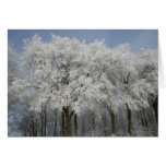 White Christmas Greeting Cards